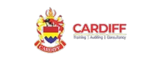 Cardiff Institute